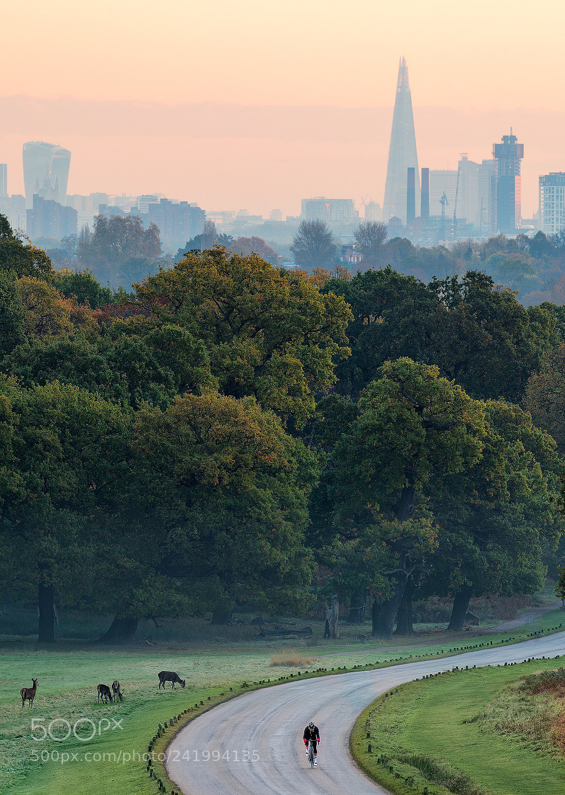 Canon EOS 5DS sample photo. London cycling photography