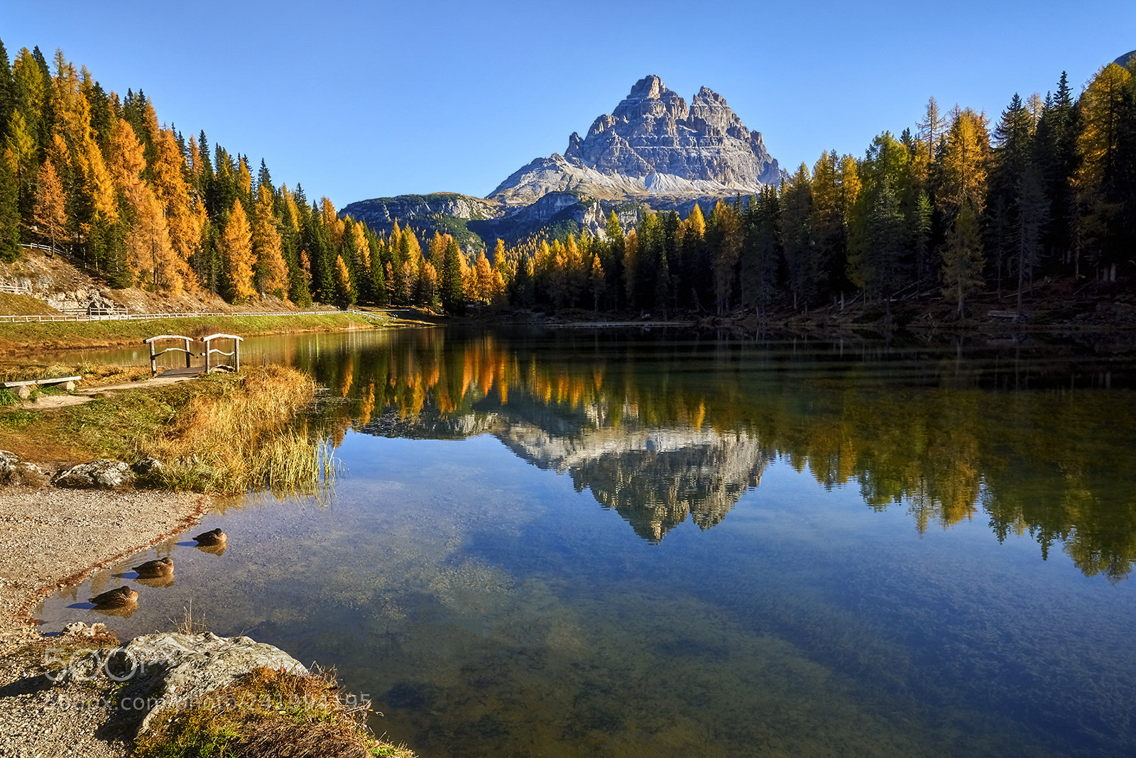 Nikon D810 sample photo. Lago di antorno photography