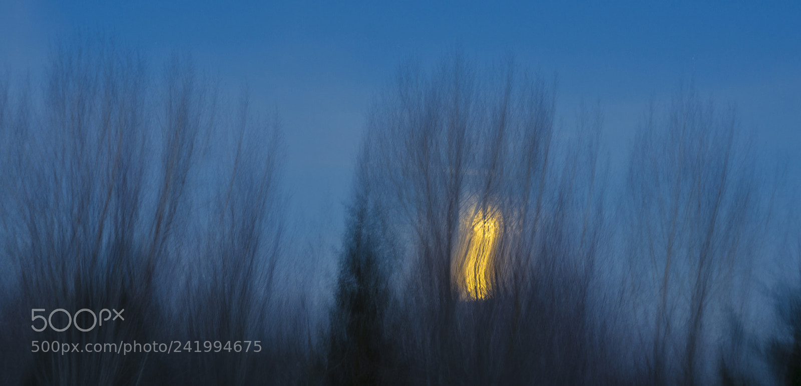 Sony Alpha NEX-5R sample photo. Screaming sun photography