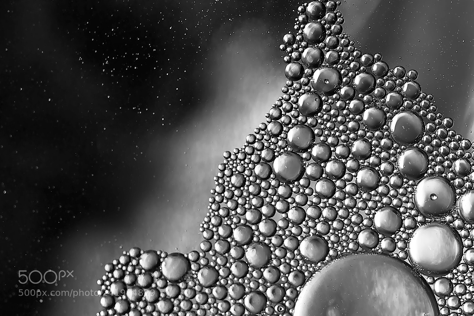 Nikon D810 sample photo. In monochrome  photography