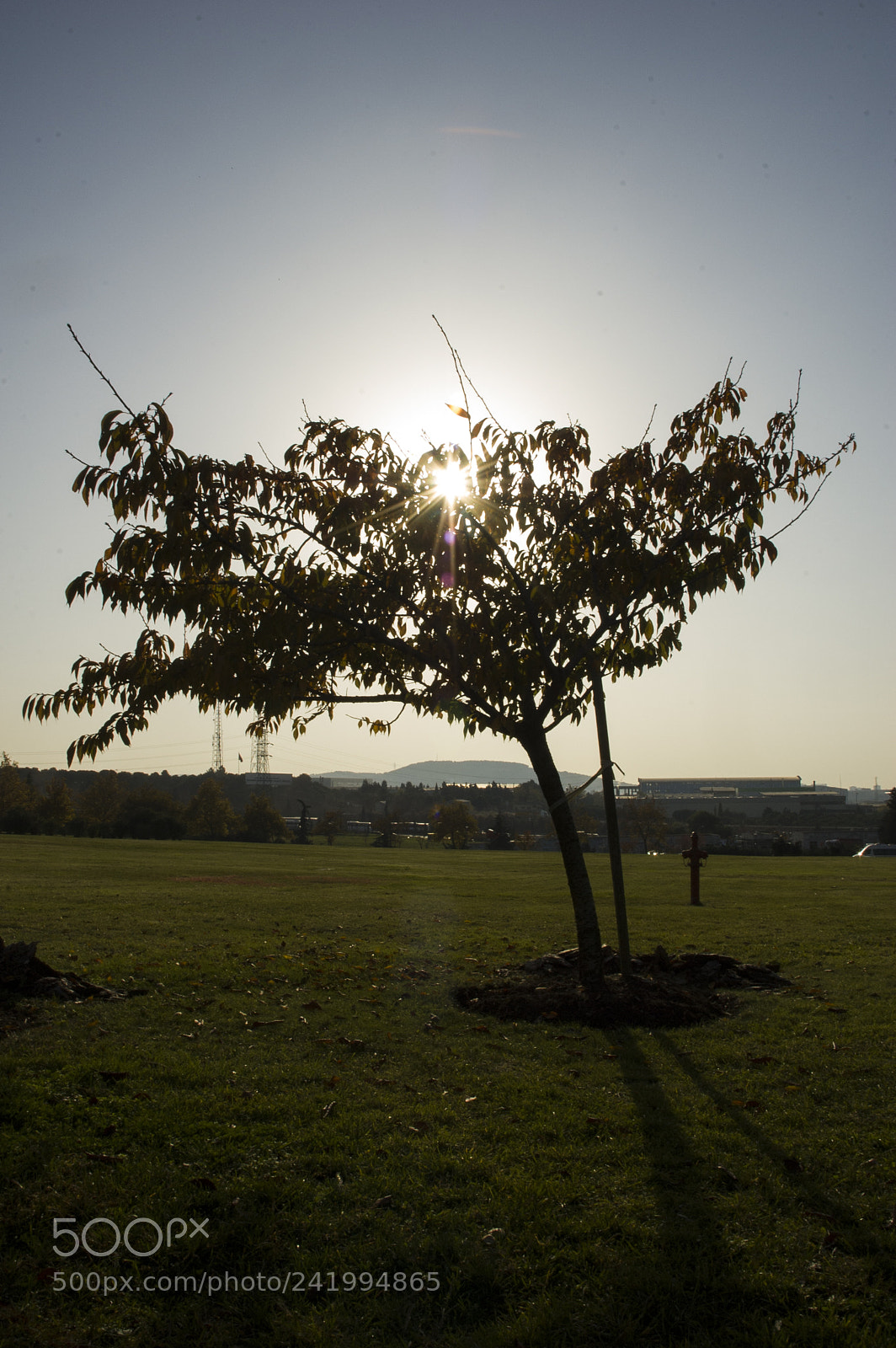 Nikon D70s sample photo. Sabanj photography