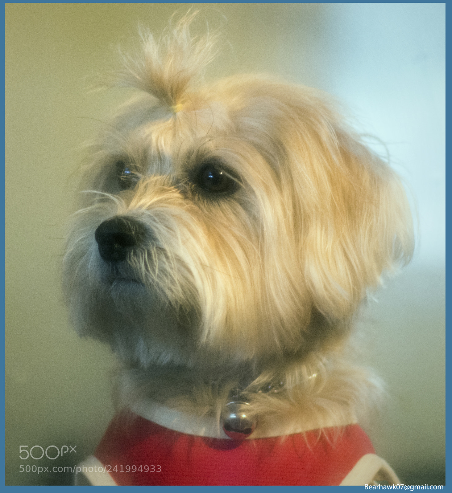 Nikon D7200 sample photo. 004.jpg photography