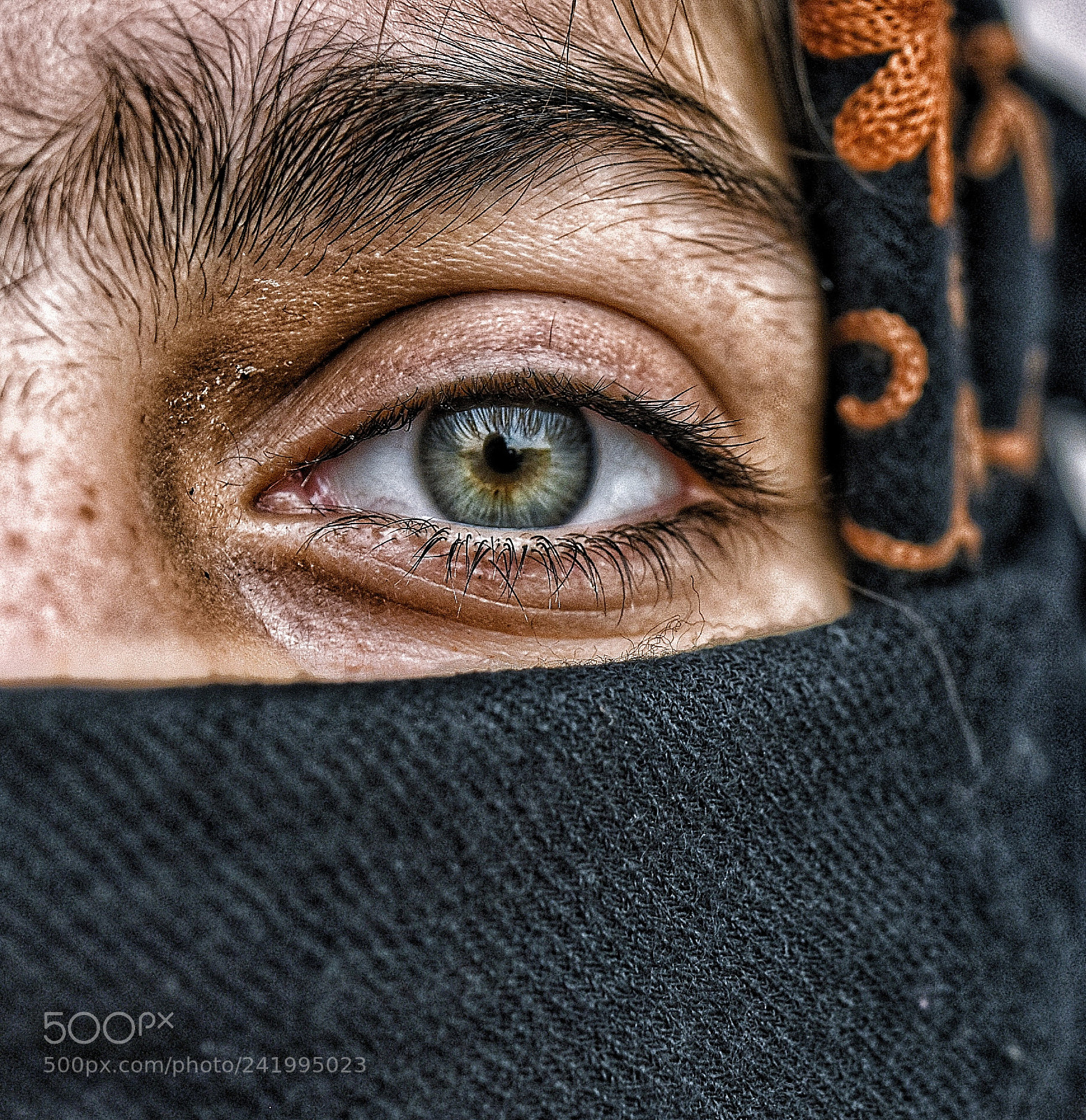 Nikon D5500 sample photo. Eye of the tiger photography