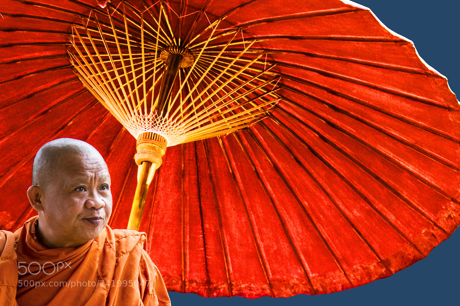 Nikon D850 sample photo. Le parasol photography