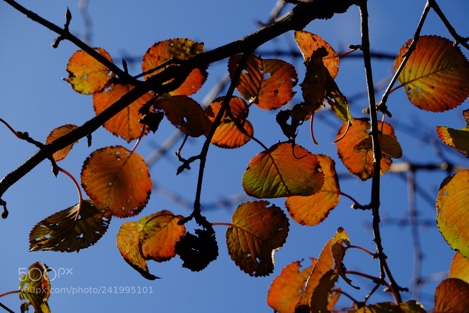 Fujifilm X-T1 sample photo. Untitled photography