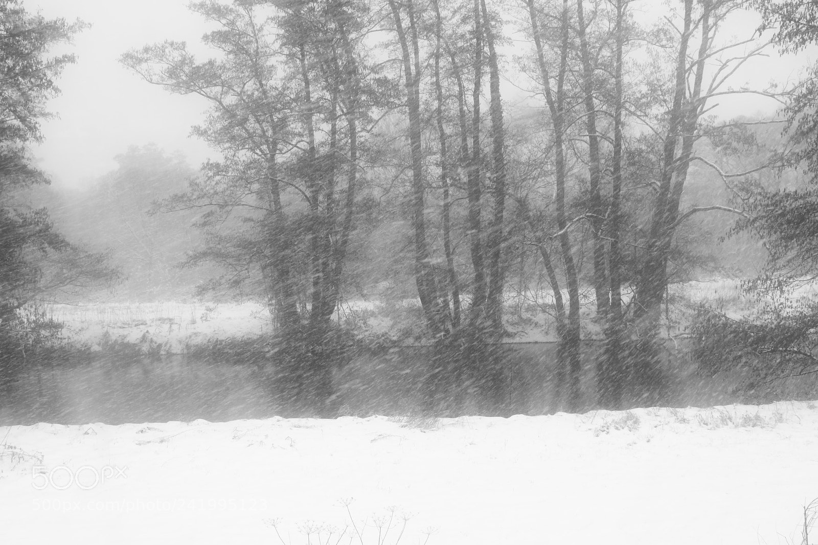 Canon EOS 50D sample photo. Winter magic photography
