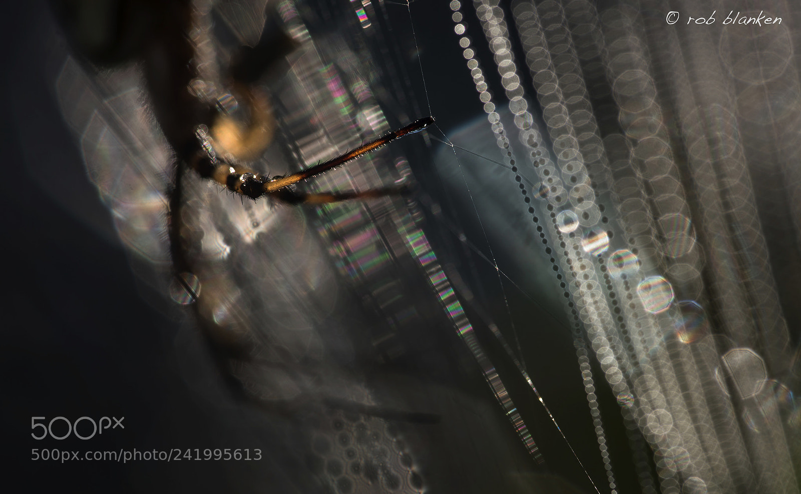 Nikon D810 sample photo. Danger photography