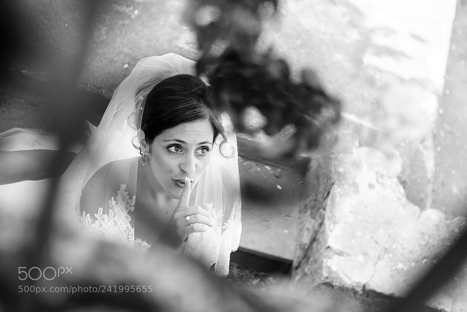 Nikon D800 sample photo. Portfolio photography