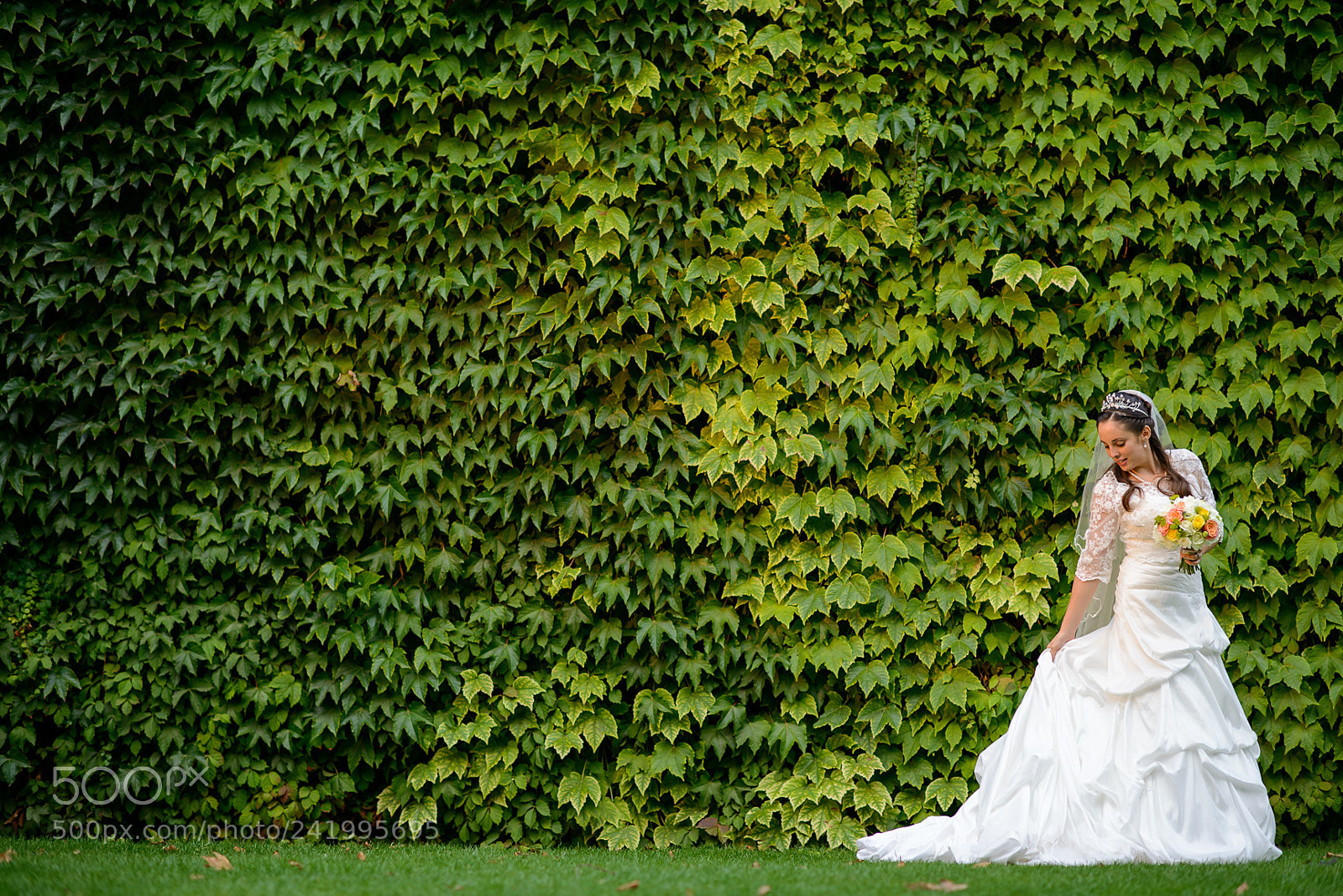 Nikon D800 sample photo. Portfolio photography