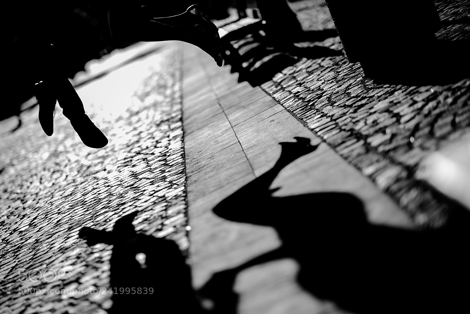 Nikon D800 sample photo. Portfolio photography