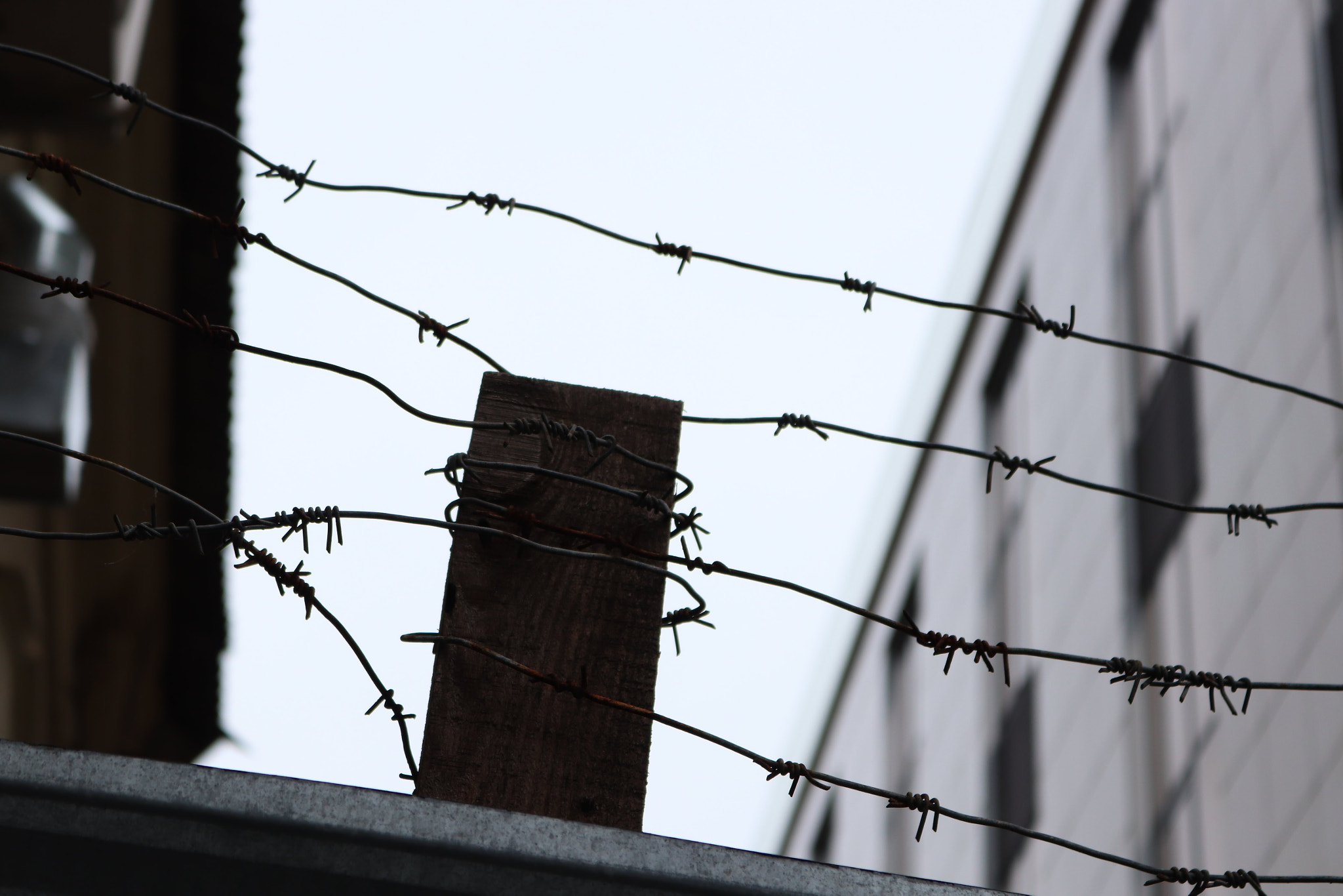 Canon EOS 77D (EOS 9000D / EOS 770D) sample photo. Details of the big city photography