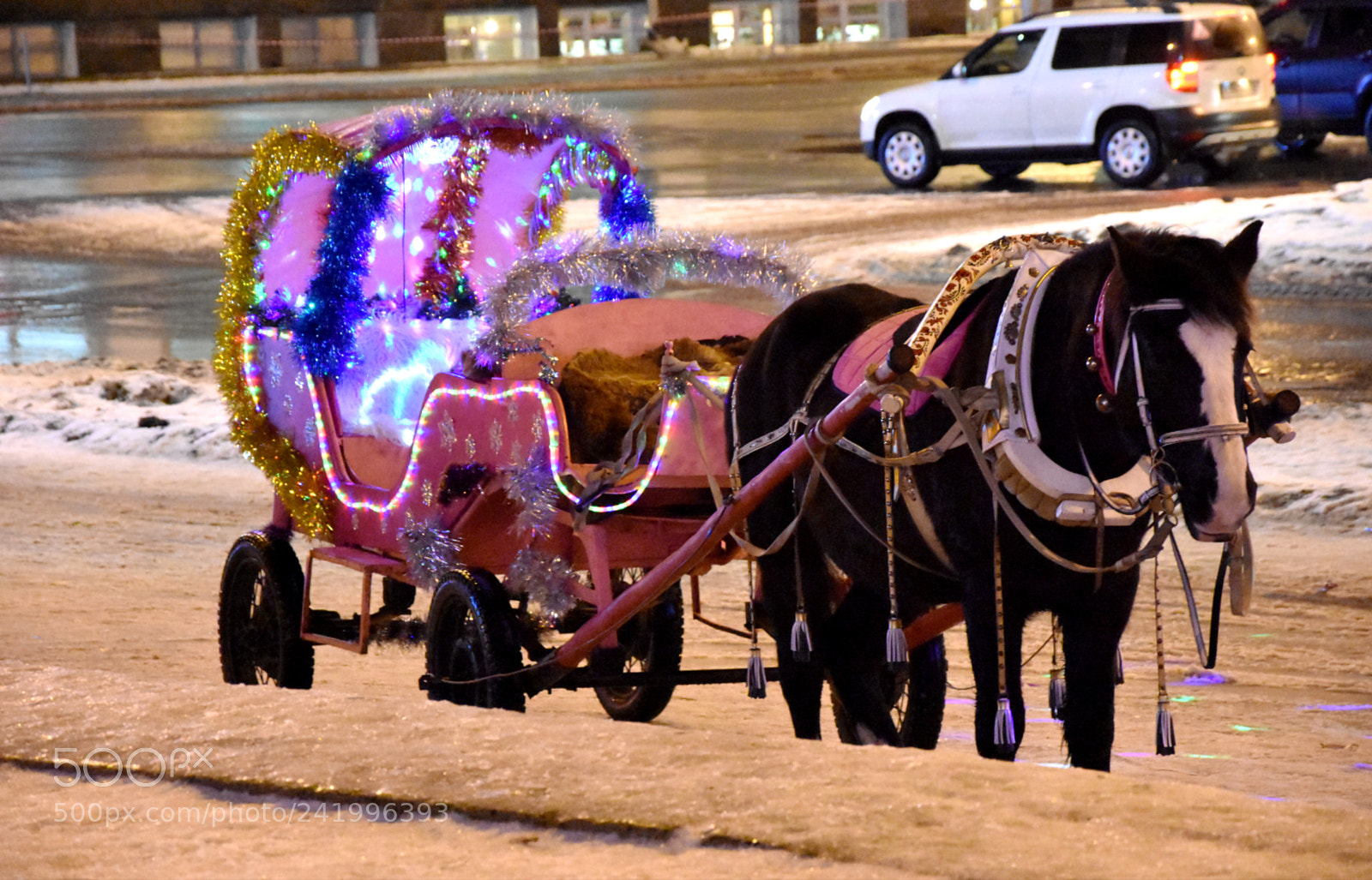 Nikon D7200 sample photo. Christmas horse photography