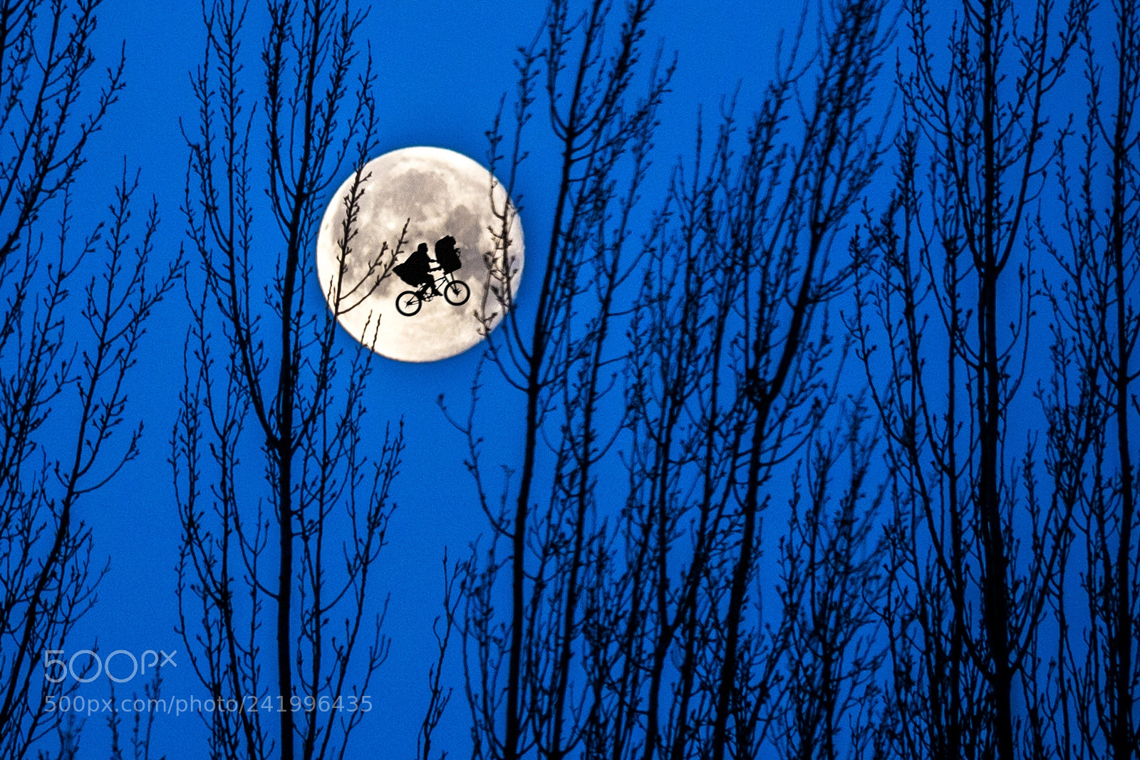 Nikon D7200 sample photo. Super moon with e.t photography