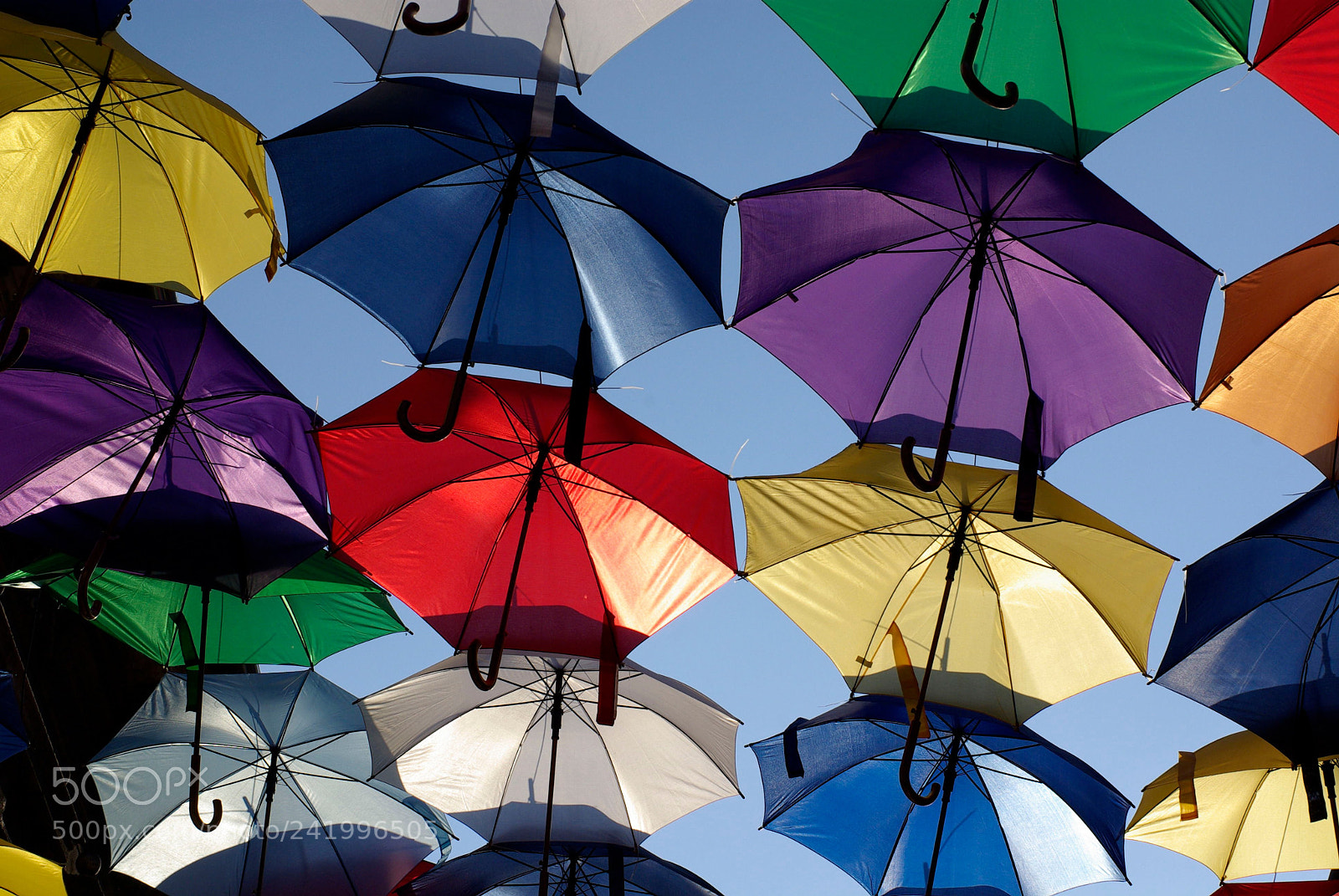 Pentax K10D sample photo. Colors in the sun photography