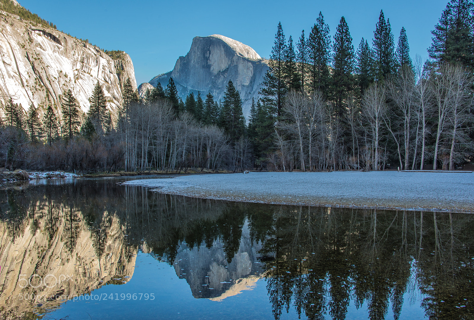 Nikon D600 sample photo. Yosemite's reflections photography