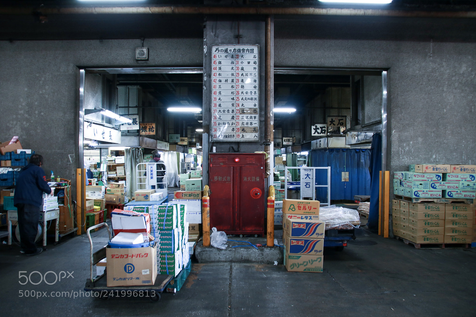 Canon EOS 760D (EOS Rebel T6s / EOS 8000D) sample photo. In tsukiji market photography
