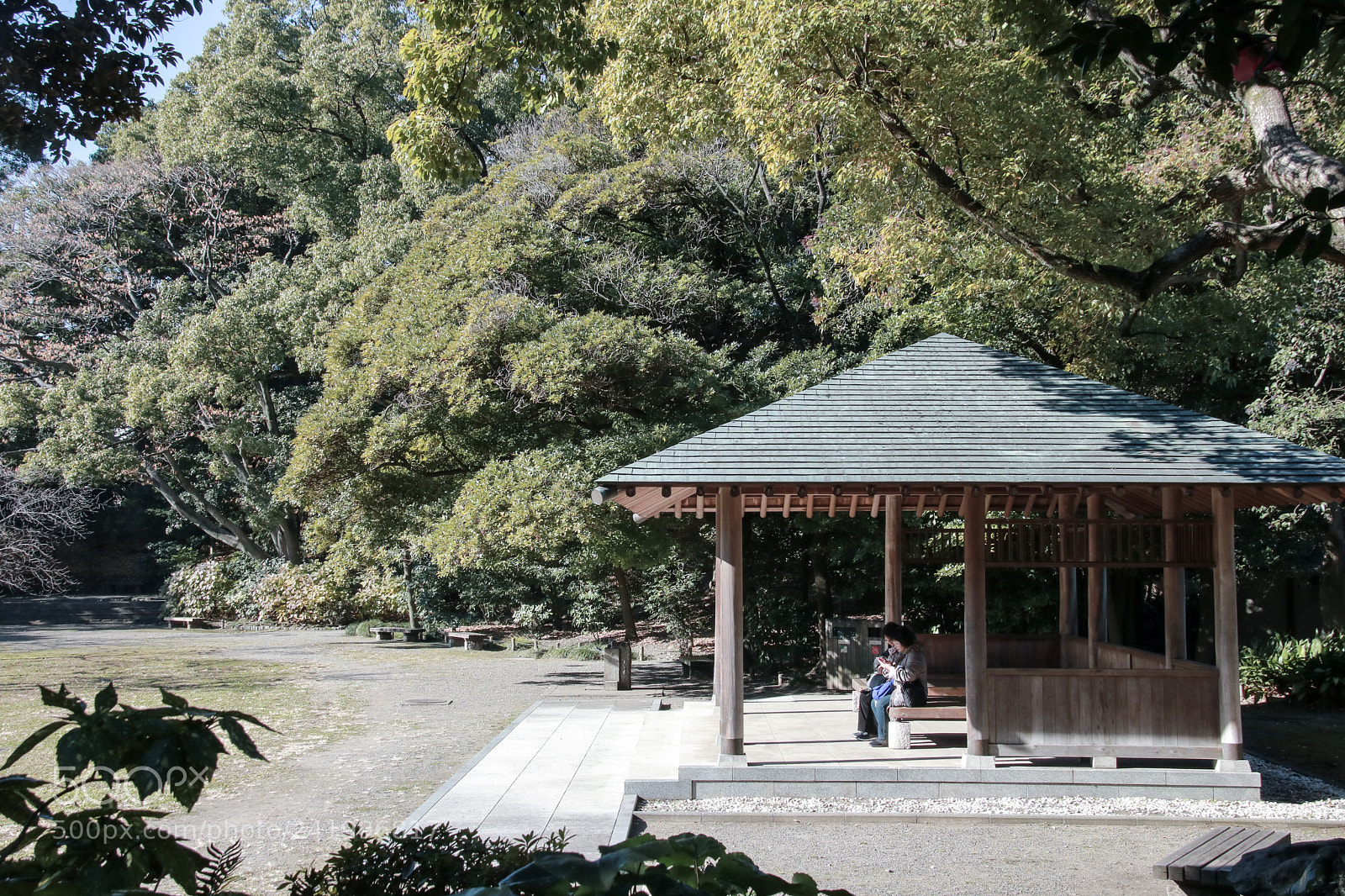Canon EOS 760D (EOS Rebel T6s / EOS 8000D) sample photo. Shall we talk...? photography