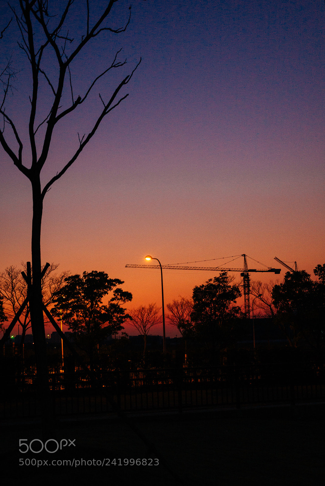 Leica M (Typ 240) sample photo. ??? photography