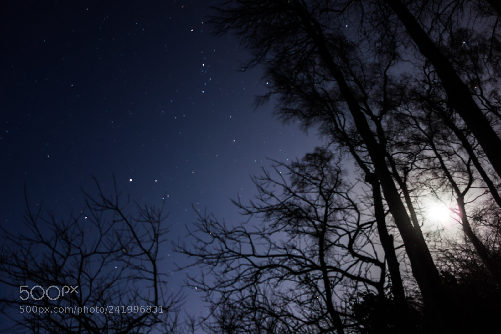 Sony Cyber-shot DSC-RX100 sample photo. Moon and stars photography