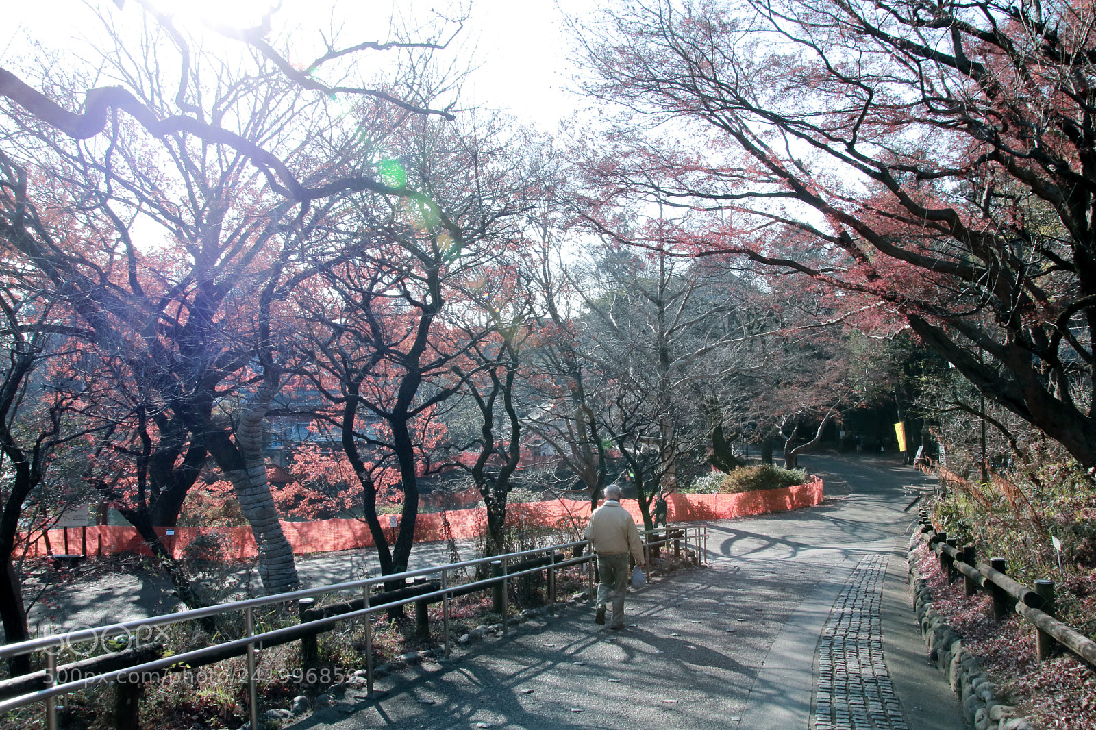 Canon EOS 760D (EOS Rebel T6s / EOS 8000D) sample photo. Warmth photography