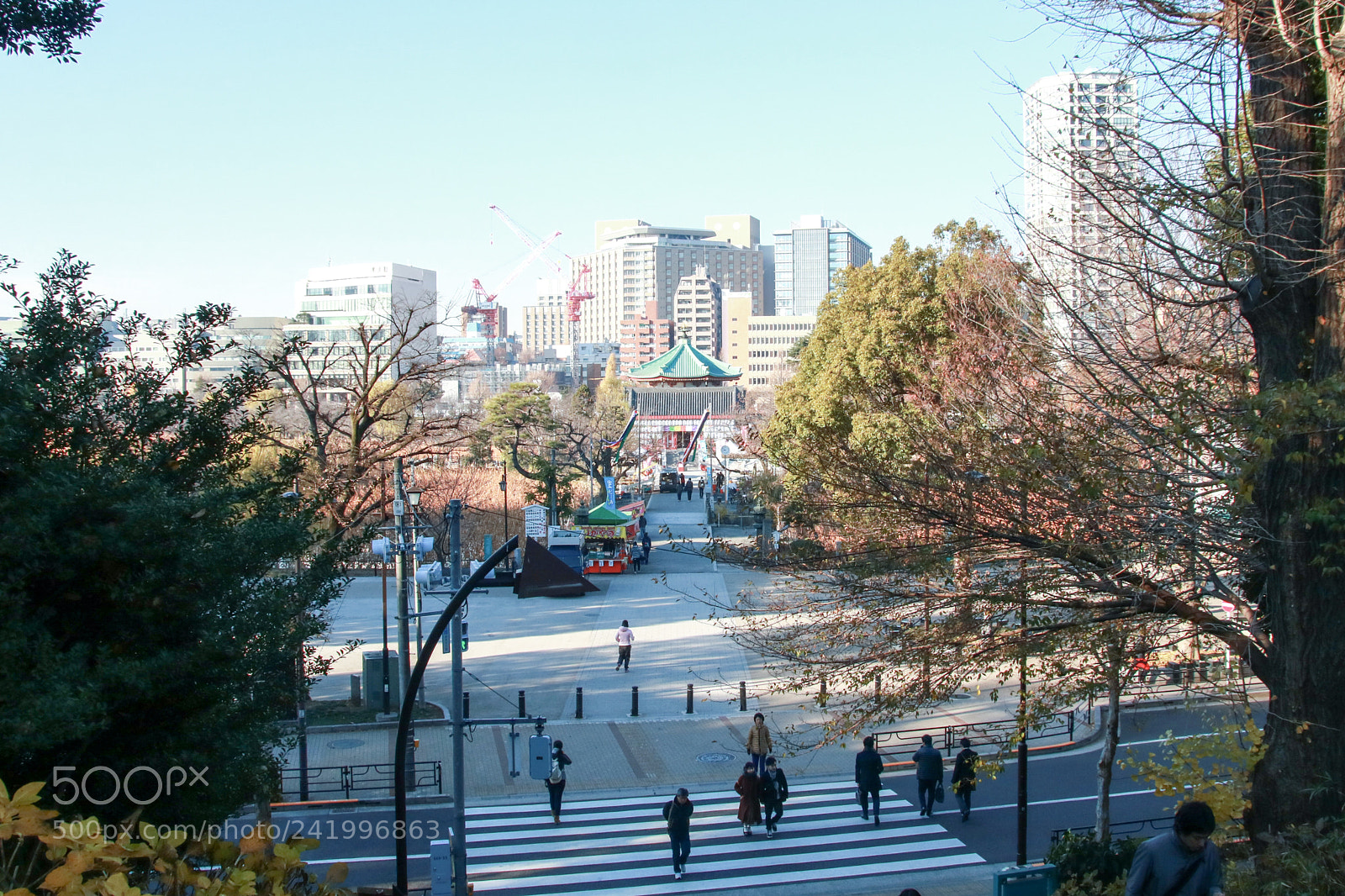 Canon EOS 760D (EOS Rebel T6s / EOS 8000D) sample photo. Coexistence photography