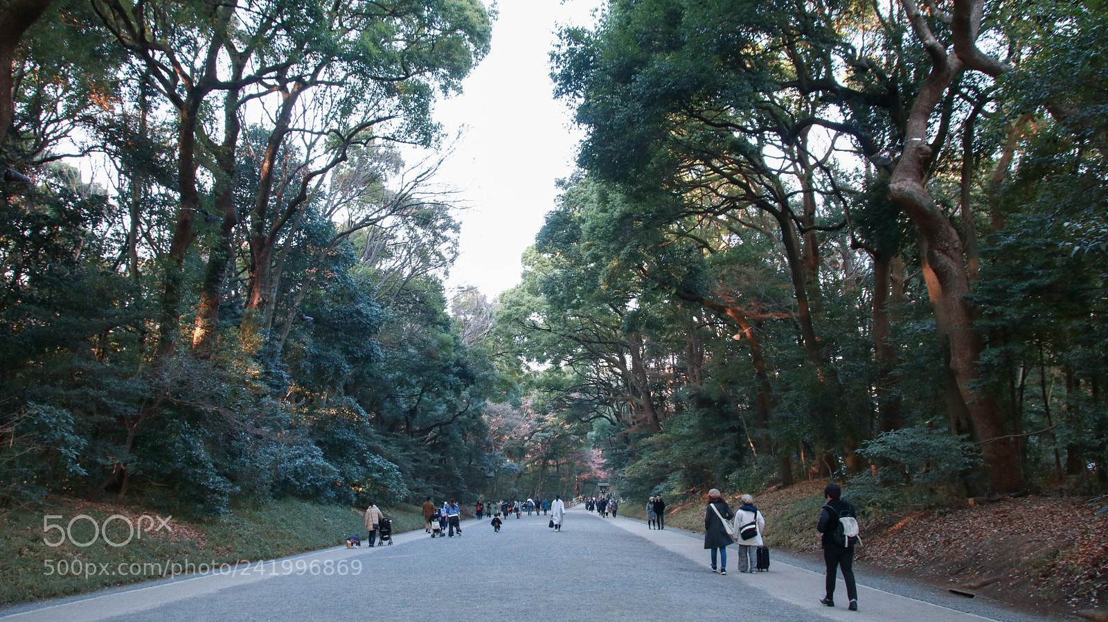Canon EOS 760D (EOS Rebel T6s / EOS 8000D) sample photo. Untitled photography