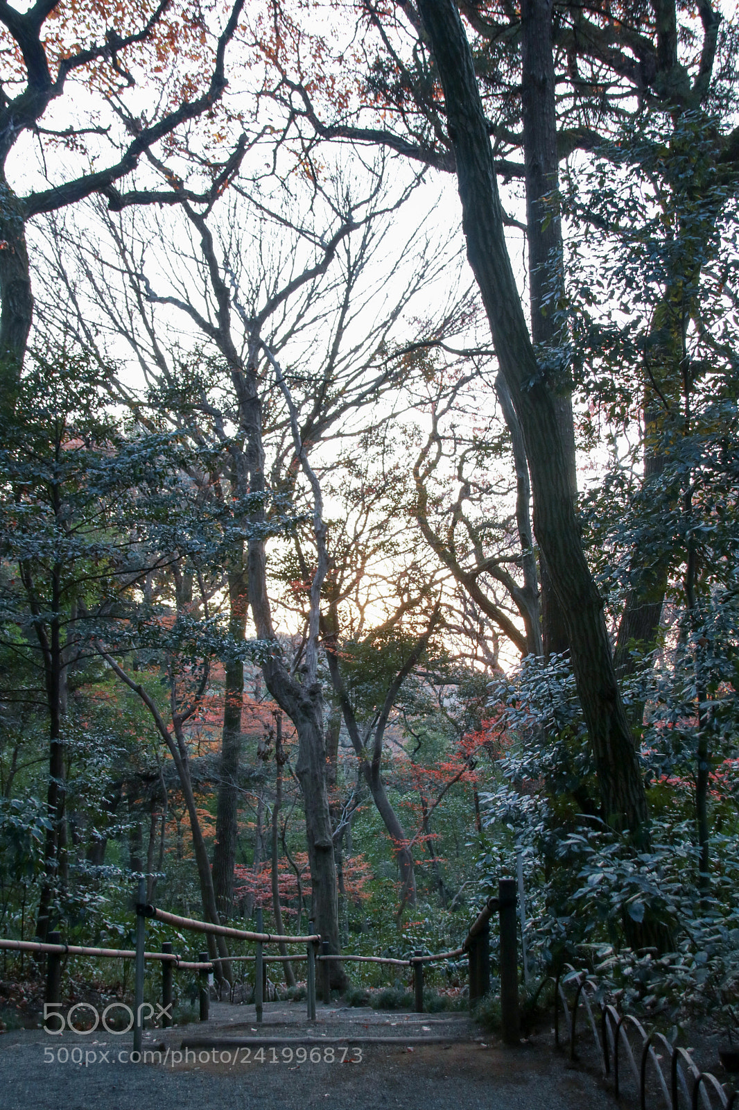 Canon EOS 760D (EOS Rebel T6s / EOS 8000D) sample photo. Fall vibes photography