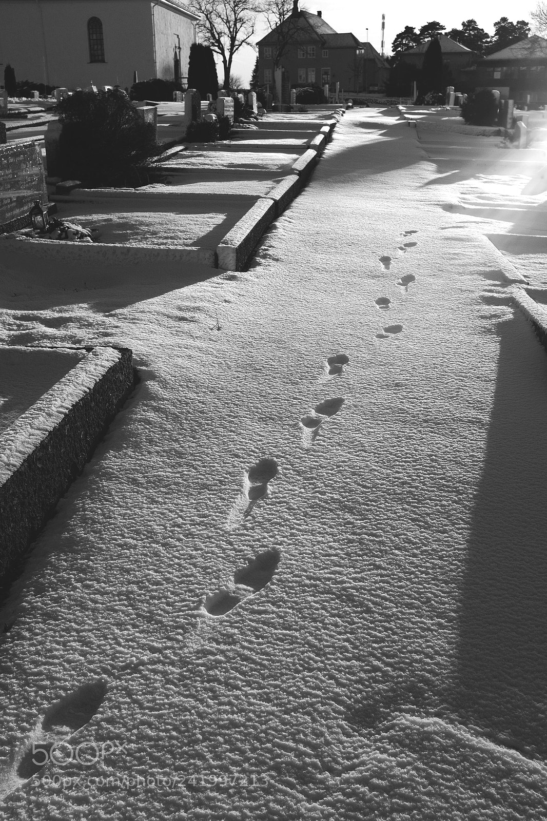 Fujifilm X100T sample photo. Snow photography