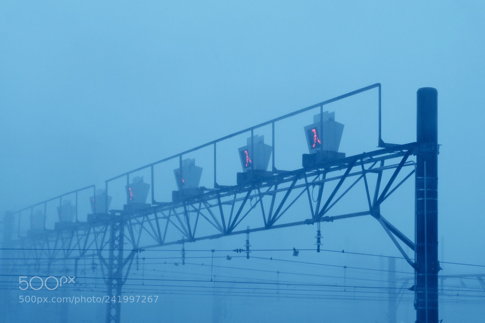Fujifilm X-M1 sample photo. Mist photography