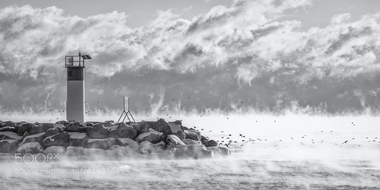 Nikon D810 sample photo. 18'c duck soup at photography