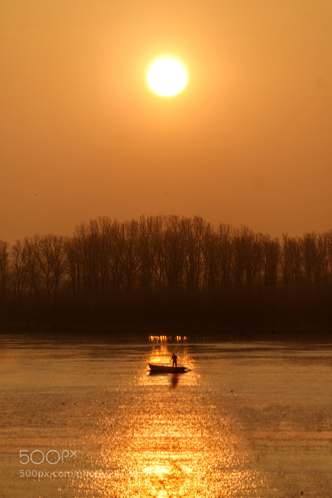 Canon EOS 1100D (EOS Rebel T3 / EOS Kiss X50) sample photo. Fishing in the sunlight photography