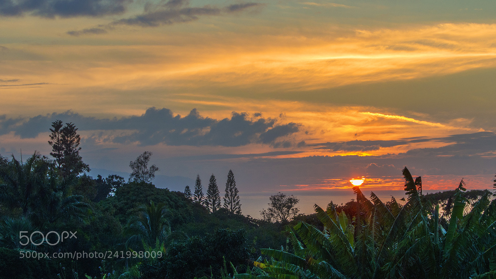 Nikon D3200 sample photo. Pupukea sunset photography