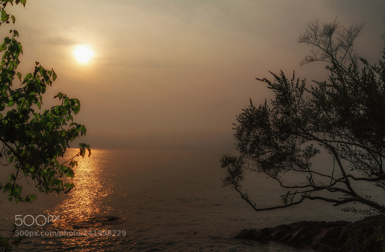 Nikon D7100 sample photo. Good morning photography