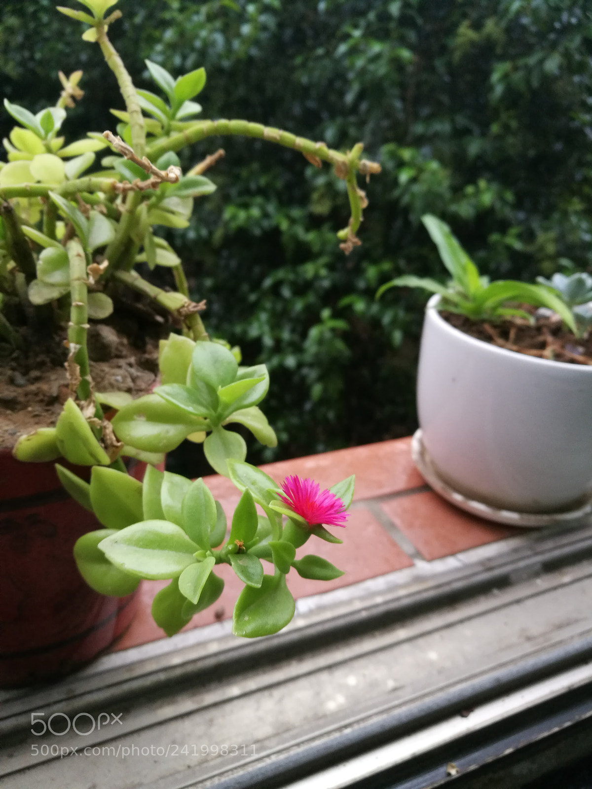 HUAWEI Honor 8 sample photo. Untitled photography