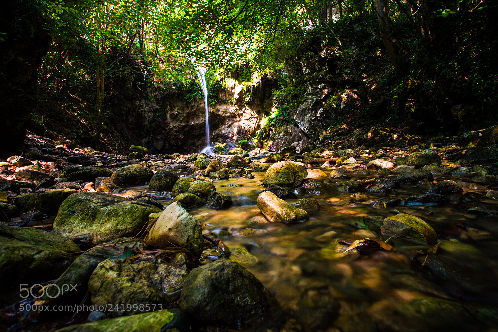 Canon EOS 5D sample photo. While everything flows photography