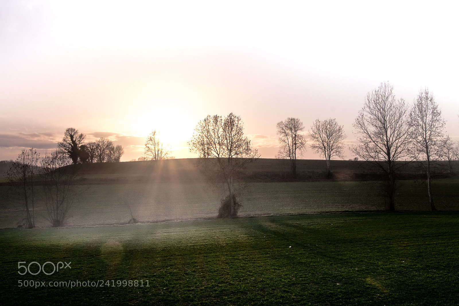 Fujifilm X-T10 sample photo. ... colline moreniche ... photography