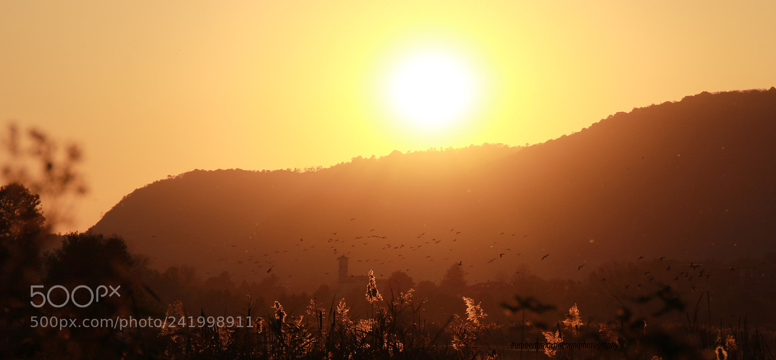 Canon EOS 7D Mark II sample photo. Golden countryside photography