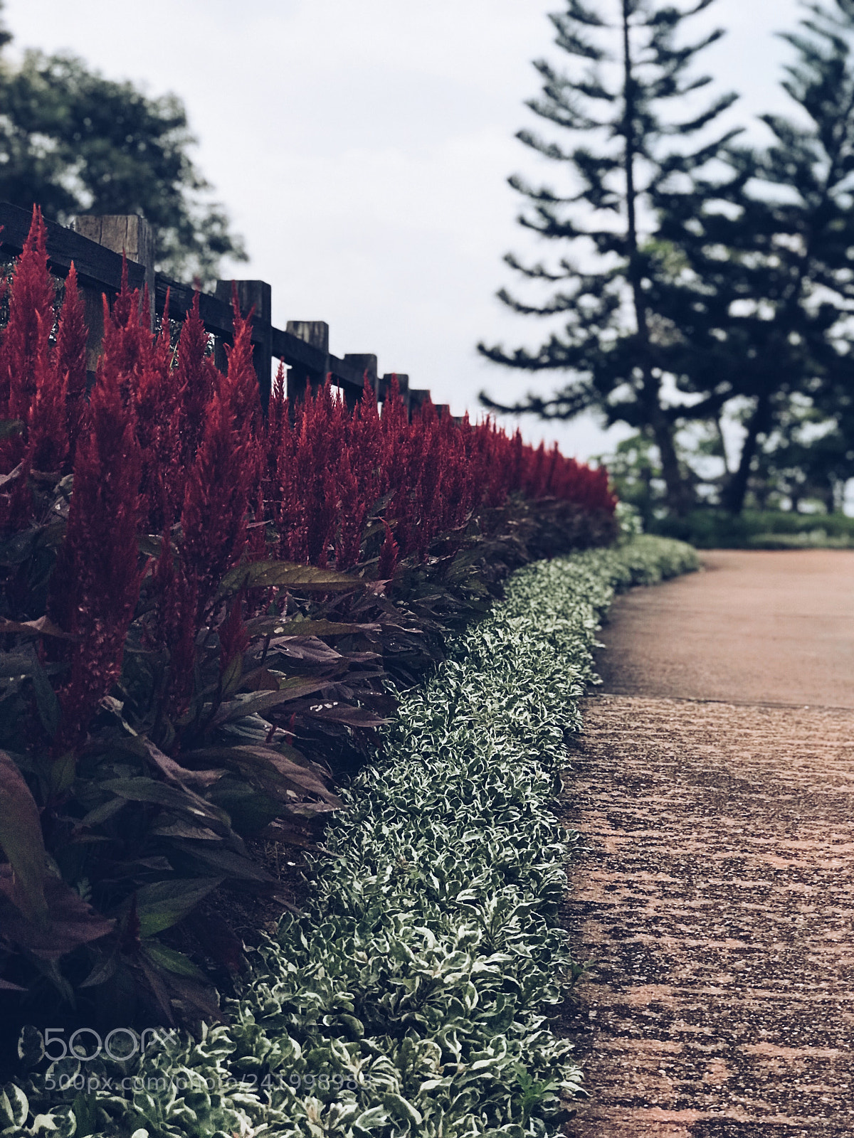 Apple iPhone 7 Plus sample photo. Untitled photography
