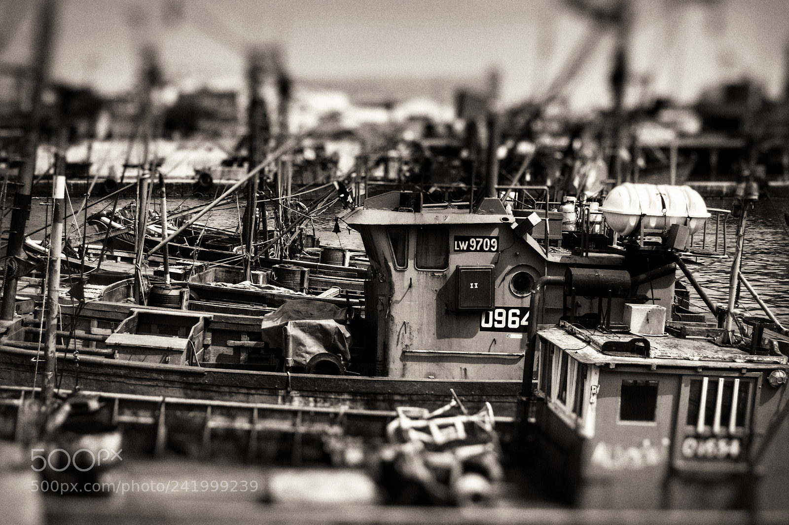 Nikon D3200 sample photo. Black and white photography