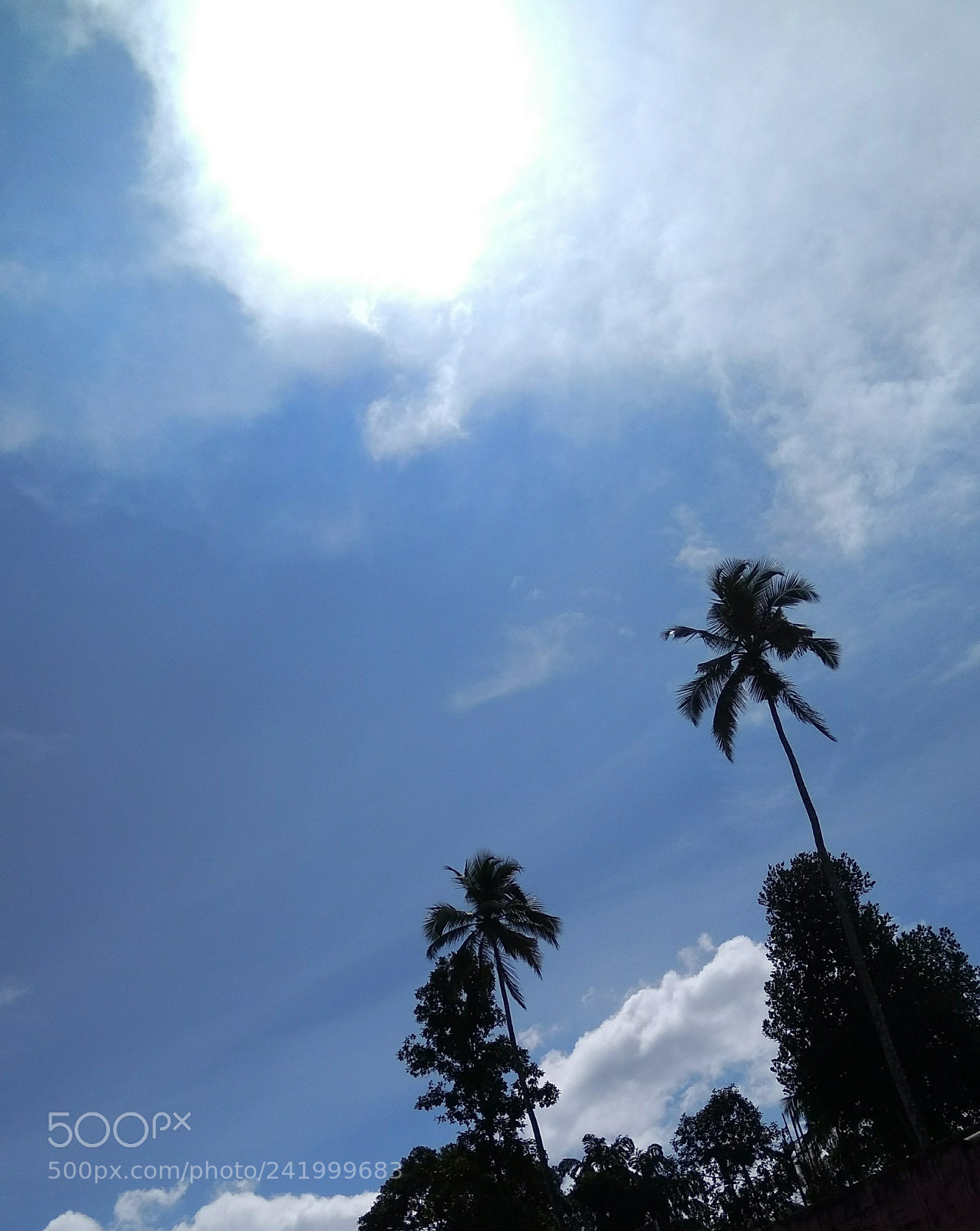 Xiaomi MI MAX sample photo. Untitled photography