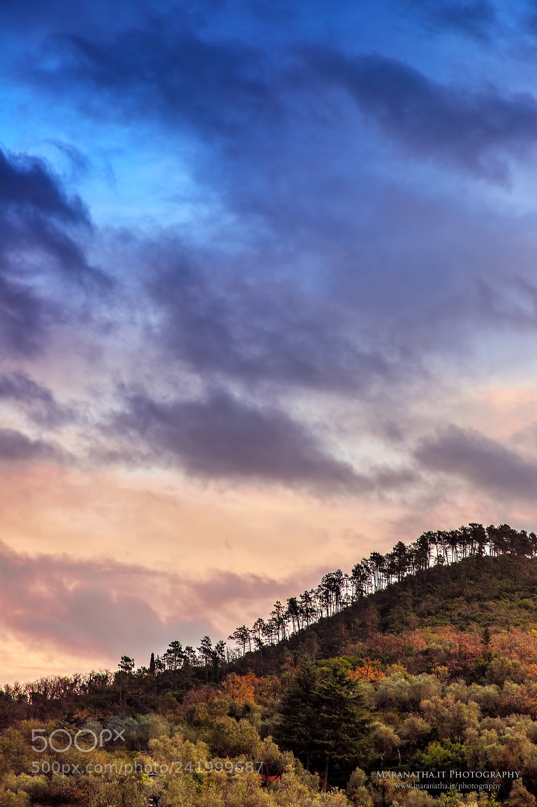 Canon EOS 6D Mark II sample photo. Just before sunset photography