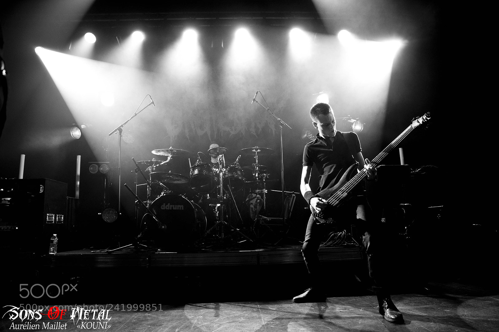 Nikon D700 sample photo. The walking dead orchestra photography