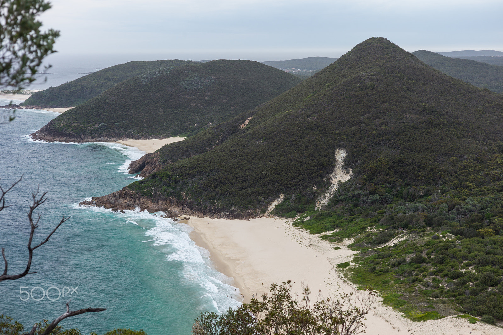 Leica M9 + Summicron-M 50mm f/2 (IV, V) sample photo. View on nelson bay photography