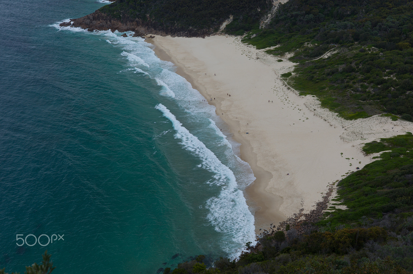 Leica M9 + Summicron-M 50mm f/2 (IV, V) sample photo. View on nelson bay photography