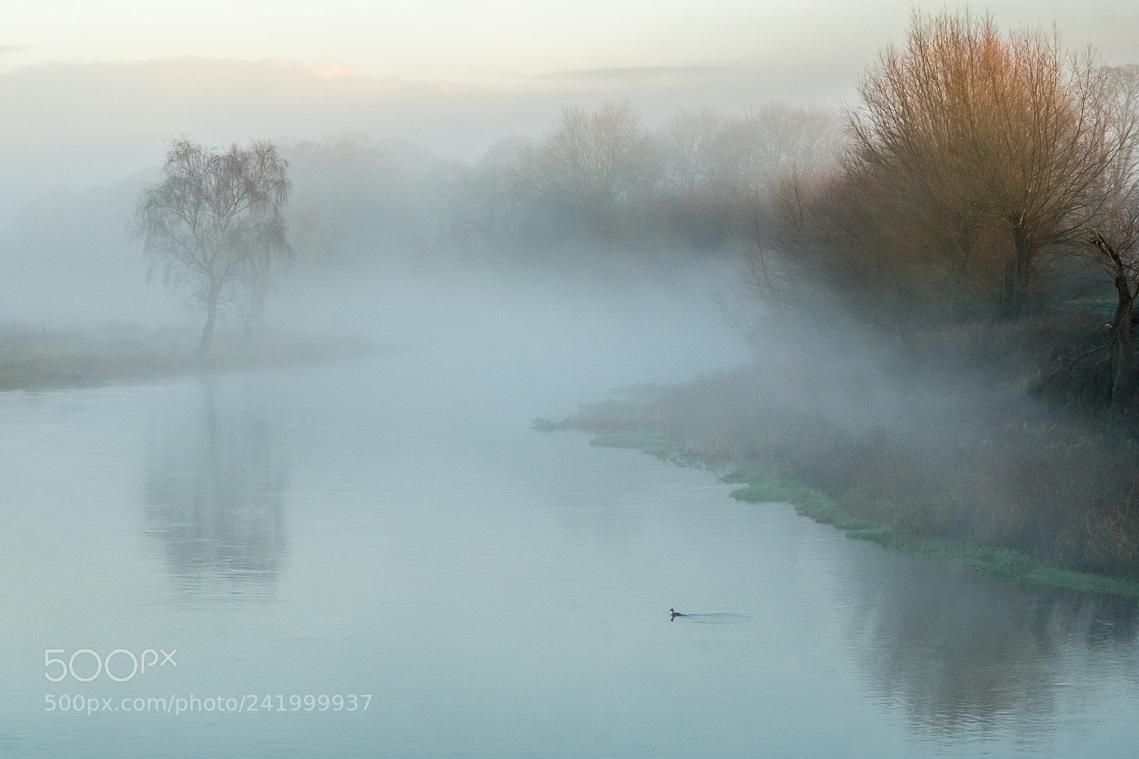 Fujifilm X-E1 sample photo. Fog from the bridge photography
