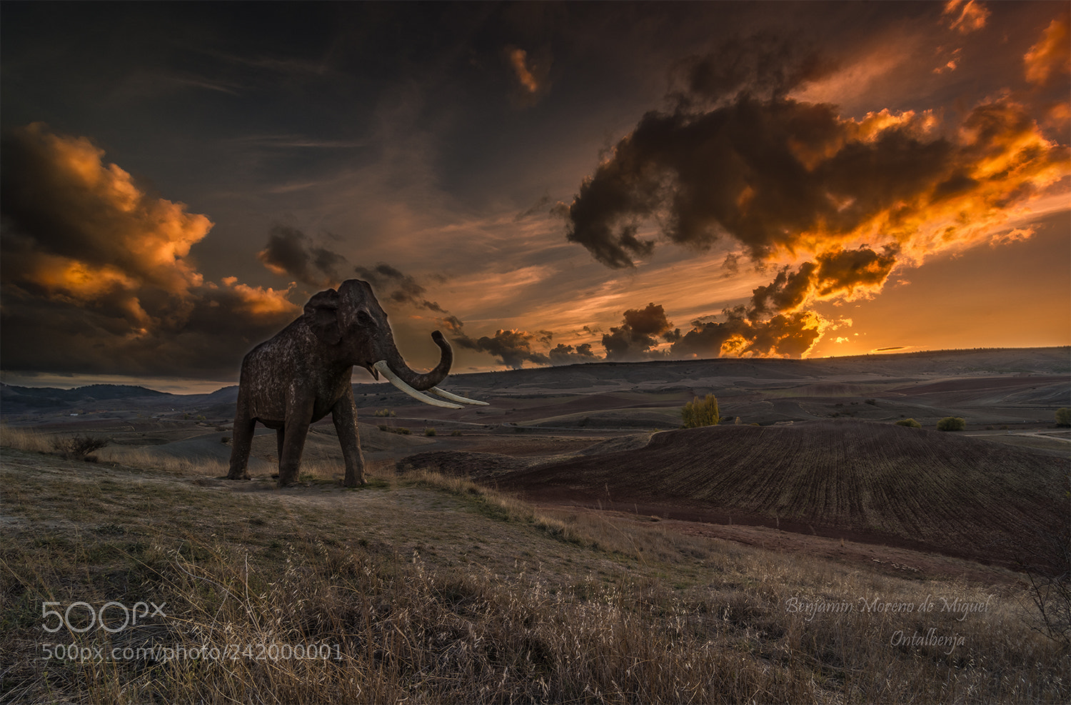 Nikon D7100 sample photo. The mamut photography
