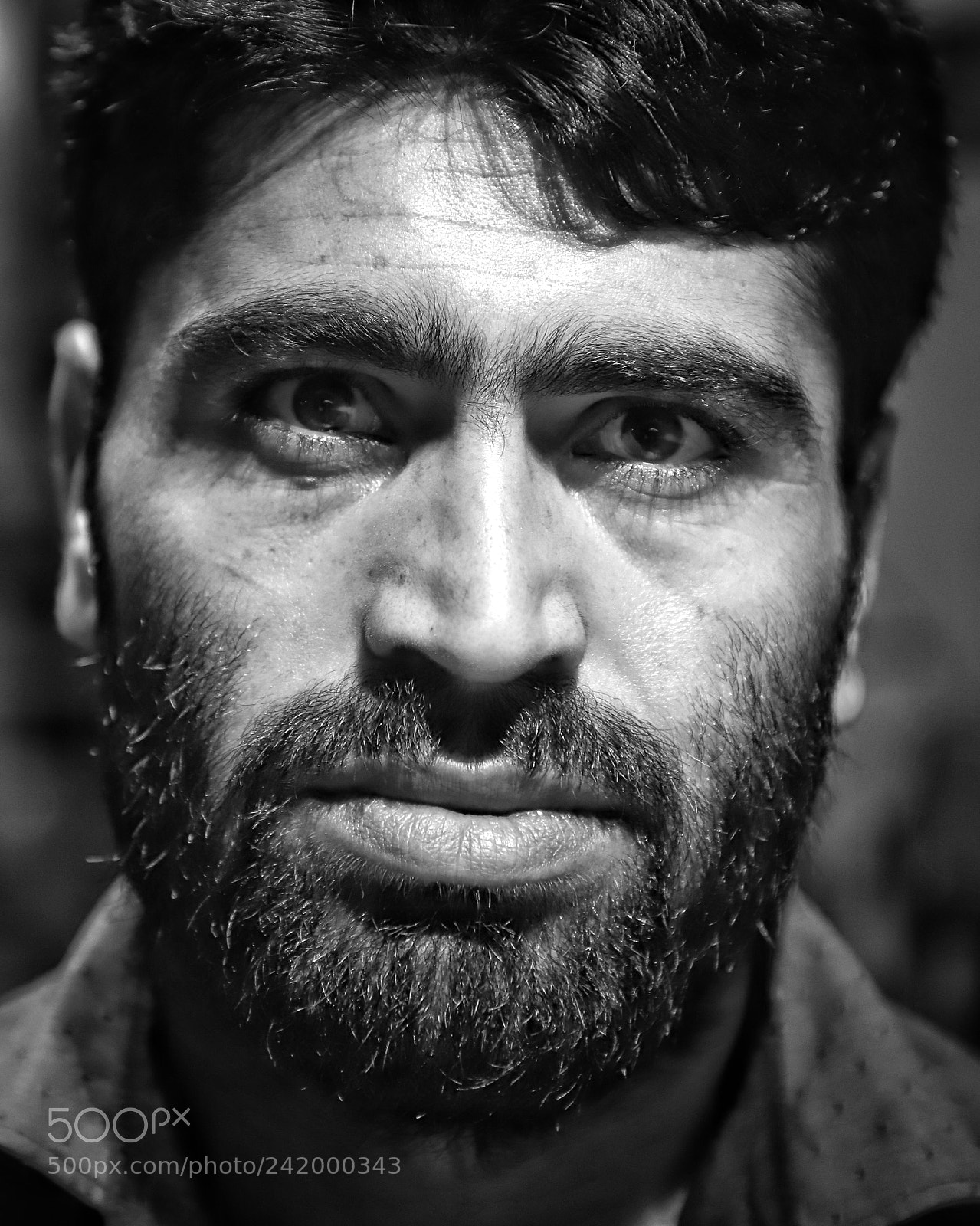 Canon EOS 6D Mark II sample photo. Kabul's tiger... photography