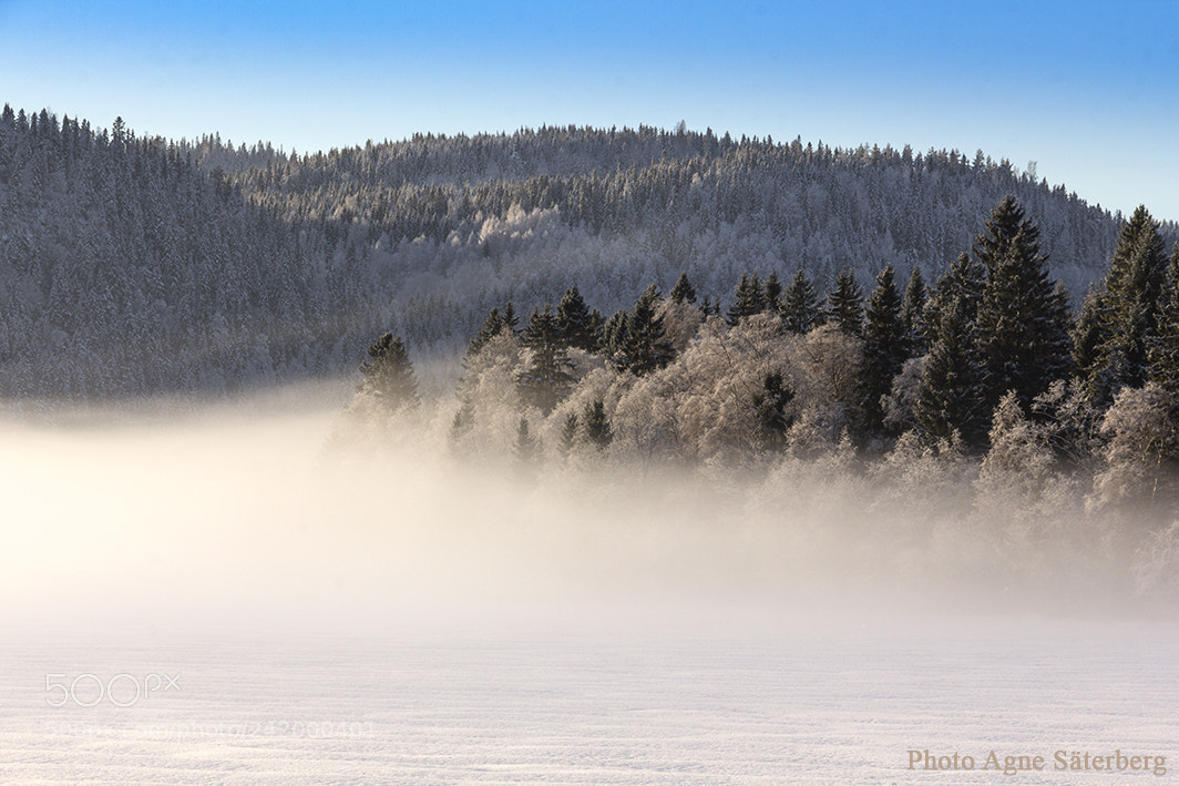 Canon EOS 60D sample photo. Fog over the lake photography