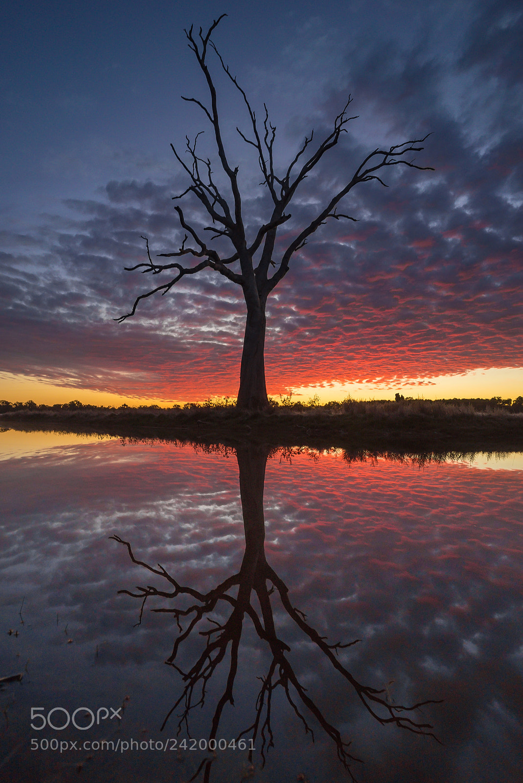 Sony a7S sample photo. Sunrisereflection photography