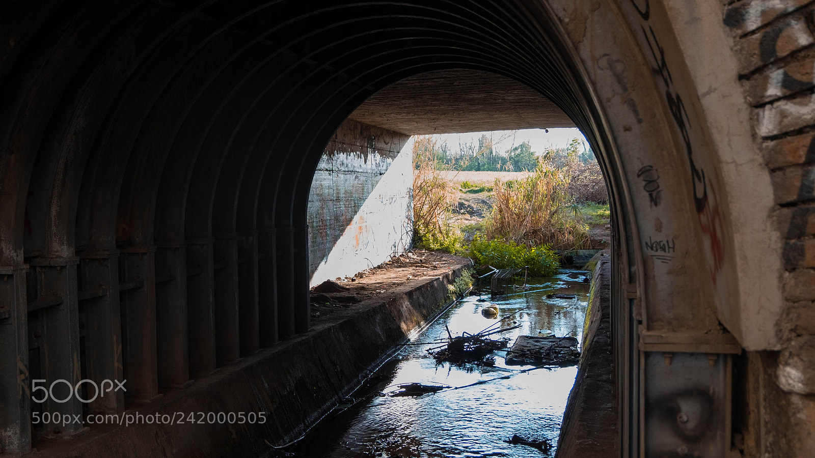 Fujifilm X-T10 sample photo. Parco degli acquedotti photography